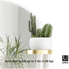 Perch Shelved Mirror, Brass - Mirrors - 5