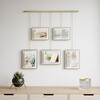 Exhibit Photo Display, Matte Brass - Frames - 2