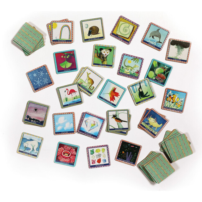 Natural Science Memory Matching Game - Games - 3