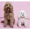 The Raleigh Leash in Navy - Collars, Leashes & Harnesses - 2