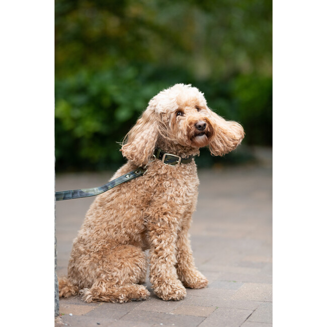 The Finley Collar in Camouflage - Collars, Leashes & Harnesses - 2