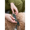 The Finley Collar in Camouflage - Collars, Leashes & Harnesses - 6