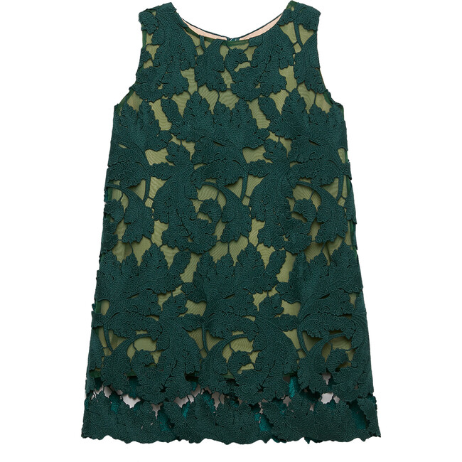 Scoop Neck Lace Dress, Basil
