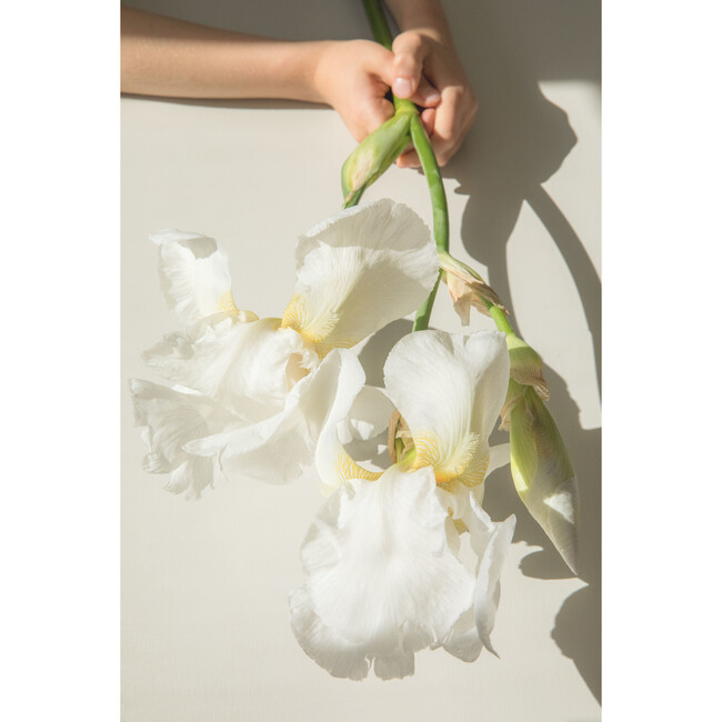 White Iris