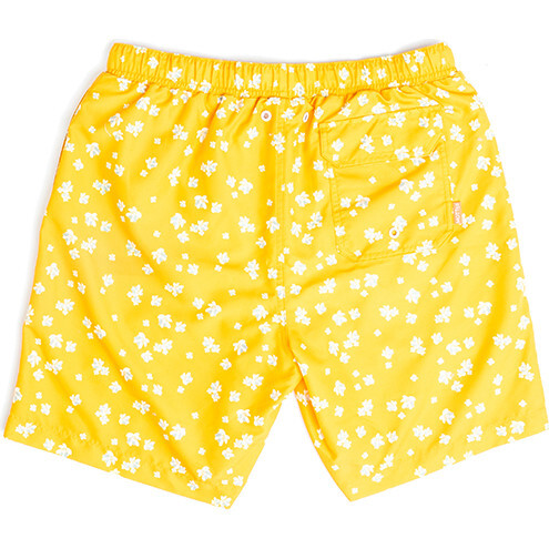Men's Hudson  Boardshort, Sun Sprite - Swim Trunks - 2