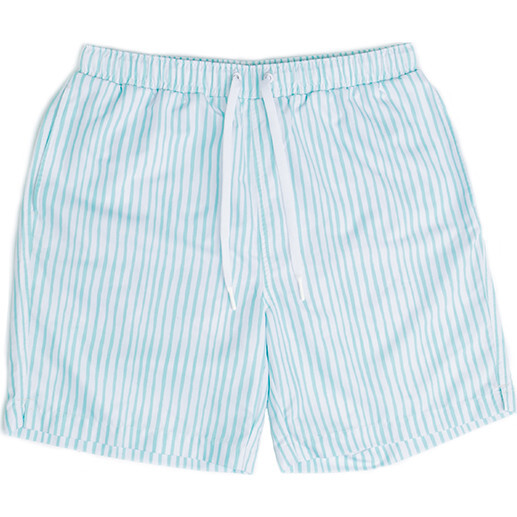 Hudson Mens Boardshort, Sea Glass Stripe - Swim Trunks - 1