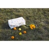 Baby Case, Beige Fruit - Bags - 2