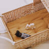 Strolley Mattress, Mustard - Dollhouses - 2