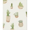 Succulent Art Print, Unframed - Art - 1 - thumbnail