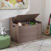 Fill With Fun Toy Box, Rustic Gray - Storage - 3