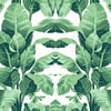 Nathan Turner Pacifico Palm Removable Wallpaper, Ivory - Wallpaper - 1 - thumbnail