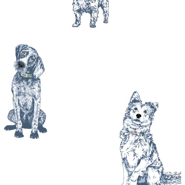 Nathan Turner Mutts Traditional Wallpaper, Blue - Wallpaper - 3