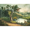 Jessup Landing Removable Mural - Wallpaper - 1 - thumbnail