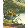 Jessup Landing Removable Mural - Wallpaper - 3