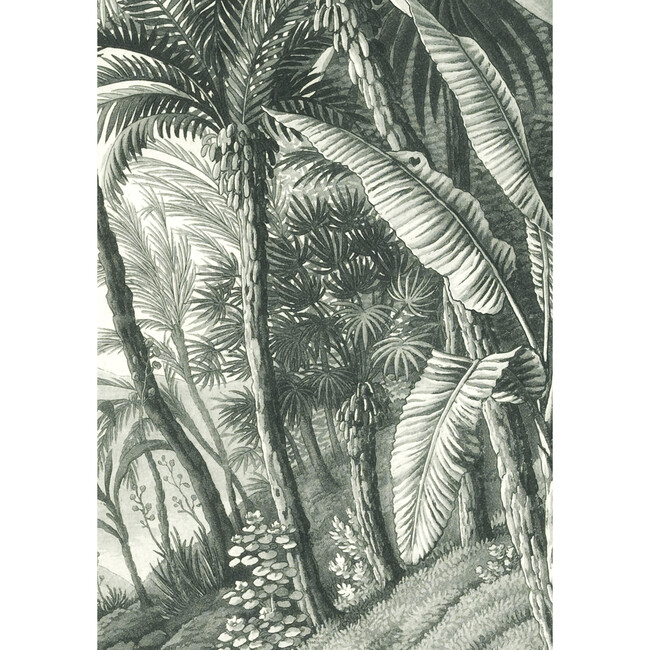 Jungle Removable Mural - Wallpaper - 3