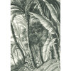 Jungle Removable Mural - Wallpaper - 3