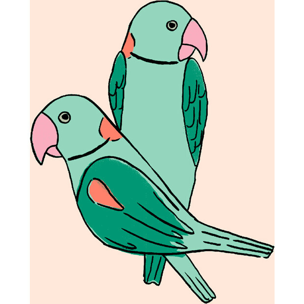 Tea Collection Alexandrine Parakeet Removable Wallpaper, Small Caribbean - Wallpaper - 3