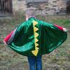 Reversible Dragon/Knight Cape, Green/Silver - Costumes - 2