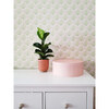 Maracas Wallpaper, Powder Pink - Wallpaper - 4