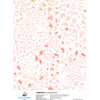 Cheetah Wallpaper, Rose - Wallpaper - 3