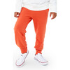 Flynn the Fox Jogger - Sweatpants - 3