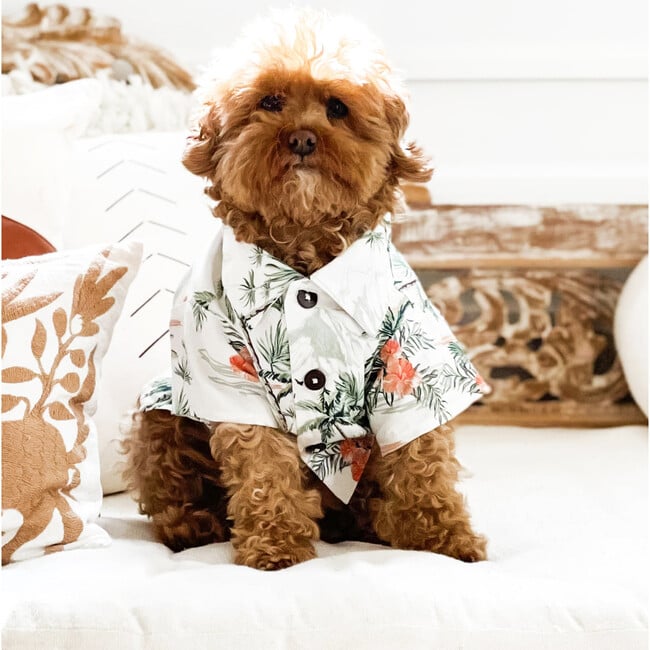 Dog Sail Away BBQ Shirt - Dog Clothes - 4