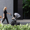Day+ Complete Set Strollers, Gorgeous Grey - Single Strollers - 2