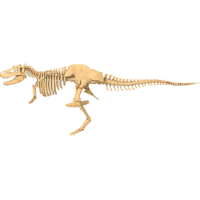 Giant Dinosaur Skeleton Kit - STEM Toys - 2