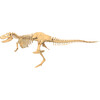 Giant Dinosaur Skeleton Kit - STEM Toys - 2