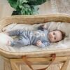 Two Piece Set - Ragdoll Puppy - Fog - Mixed Apparel Set - 2