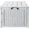 Kestin Rattan Storage Trunk, White - Storage - 3