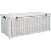 Kestin Rattan Storage Trunk, White - Storage - 6