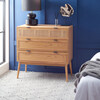 Baisley 3-Drawer Rattan Chest, Honey - Dressers - 3