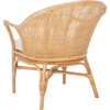 Dustin Rattan Accent Chair with Cushion, Tan - Accent Seating - 6