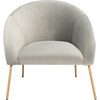 Mandi Velvet Accent Chair, Grey - Accent Seating - 1 - thumbnail