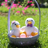 Crochet Boy Duckling - Accents - 2