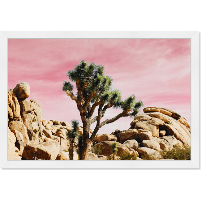 Joshua Tree, Pink - Art - 1