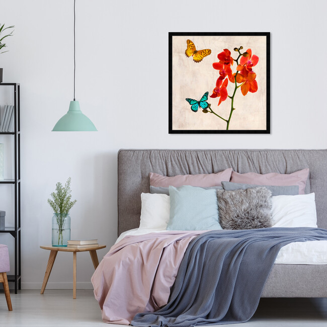 SAI, Flos Gloria - Art - 6