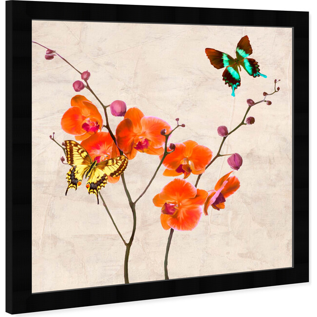 SAI, Flos Gloria II - Art - 9