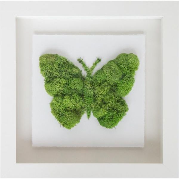 Butterfly Moss - Art - 1