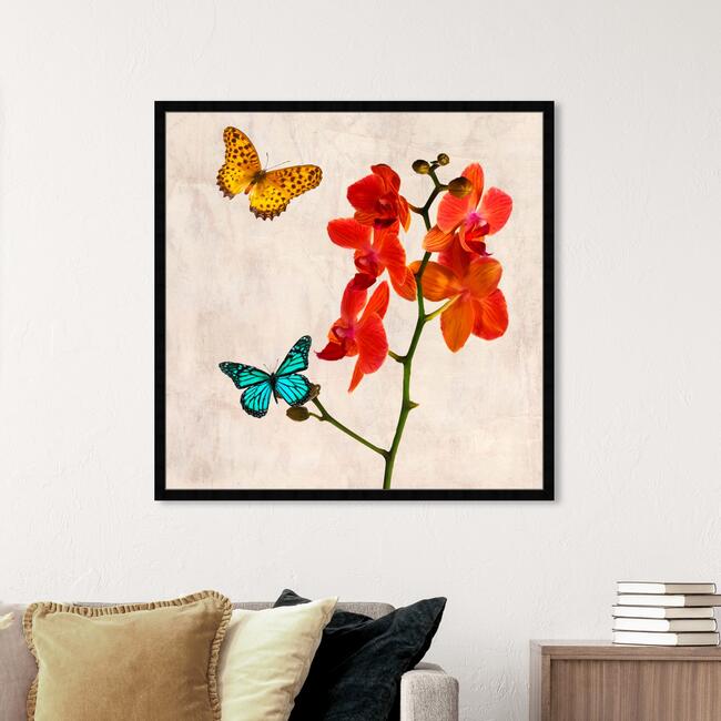 SAI, Flos Gloria - Art - 7