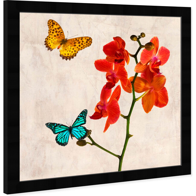 SAI, Flos Gloria - Art - 8