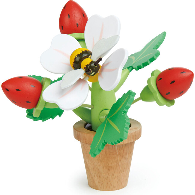 Strawberry Flower Pot - Woodens - 1