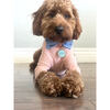 Solitaire Pet ID Tag, Seafoam Green - Pet ID Tags - 2