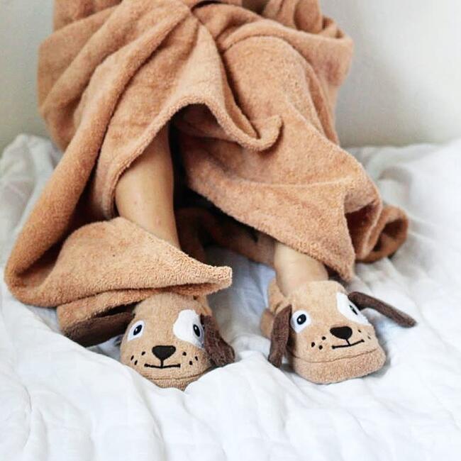Dog Slippers, Brown