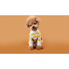 Tiger Dog Onesie - Dog Clothes - 3