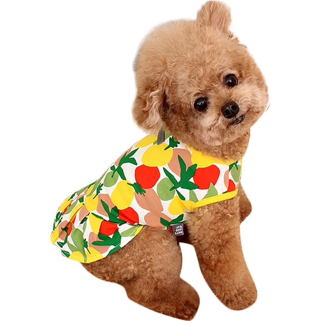 Lemon Dog Dress, Multi