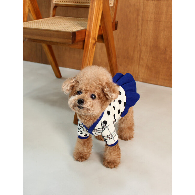 Dot Dog Dress - Dog Clothes - 4