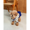 Dot Dog Dress - Dog Clothes - 4