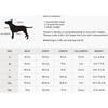 Dot Dog Dress - Dog Clothes - 5
